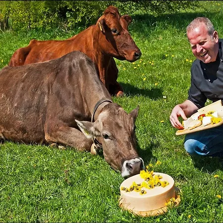 호텔 Naturpurhotel Maarblick