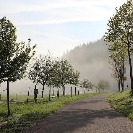 Naturpurhotel Maarblick Meerfeld
